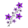 Flower Purple 1