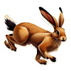 Jumping Rabbit 2
