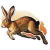 Springender Hase 1