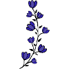 Fleur pourpre