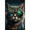 Cat Glasses Sunglasses Cool Cat