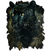 Black panther