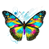 Abstract Rainbow Butterfly