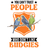 Budgerigar Gift Welli cockatiel