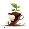 The plain cup