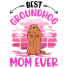 Murmeltier Mama Groundhog Mom Woodchuck