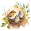 Oiseaux sur le nid