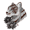 Tigre