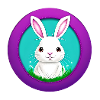 White Hare Rabbit