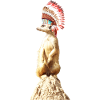 Erdmännchen mit Federschmuck