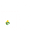 Pissenlit graphique