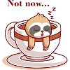 Not now