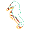 Hippocampe
