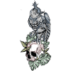 Owl on skull // Illustration