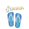 Summer Flip Flops