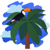 Toucan (palmier, ciel)