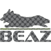 BEAZ Logo 002