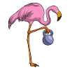 Flamingo Bodybuilder Dumbbell Bodybuilding