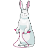 Lapin Fitness Sport