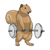 Squirrel Bodybuilding Haltères