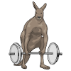 Kangourou Bodybuilding Haltères