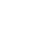 Bodyguard