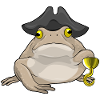Frog Pirate Pirate Hat