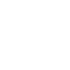 Top model