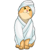 Cat bathing bathrobe