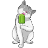 Cat popsicles