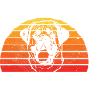 Mastiff Chien Vieux Mastiff anglais