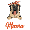 Mastiff Chien Vieux Mastiff anglais