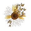 Sunflower Sunflower Flower Butterfly Spring