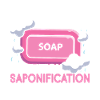 Soap maker soap making