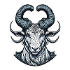 Aries - Widder