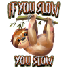 Sloth, Sloth, funny saying, If-You-Slow