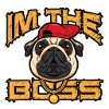 Dog Boss