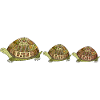 Turtles