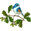 Bunter Vogel