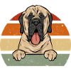 Mastiff Dog Old English Mastiff