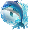 The dolphin