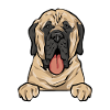 Mastiff Chien Vieux Mastiff anglais