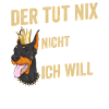 Hund Doberman