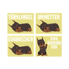 Hund Doberman