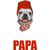 Dog Frenchie Papa