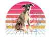 Whippet