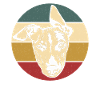 Whippet