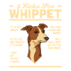 Whippet
