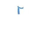 Whippet