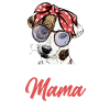 Dog Jack Russell Mama
